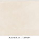 4虎tv最新官方网站 bs4r0j3b