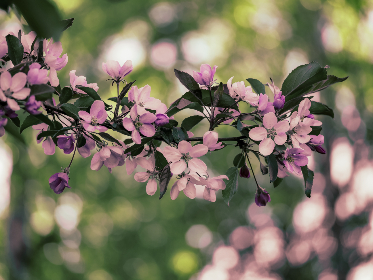 女生脱光视频 女生脱光视频