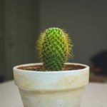 天使萌出勤:用爱与努力点亮每一天的工作生活 g89qh4